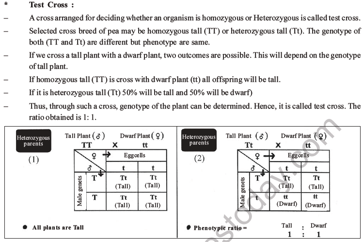 NEET Biology Heredity And Variation MCQs Set B, Multiple Choice Questions